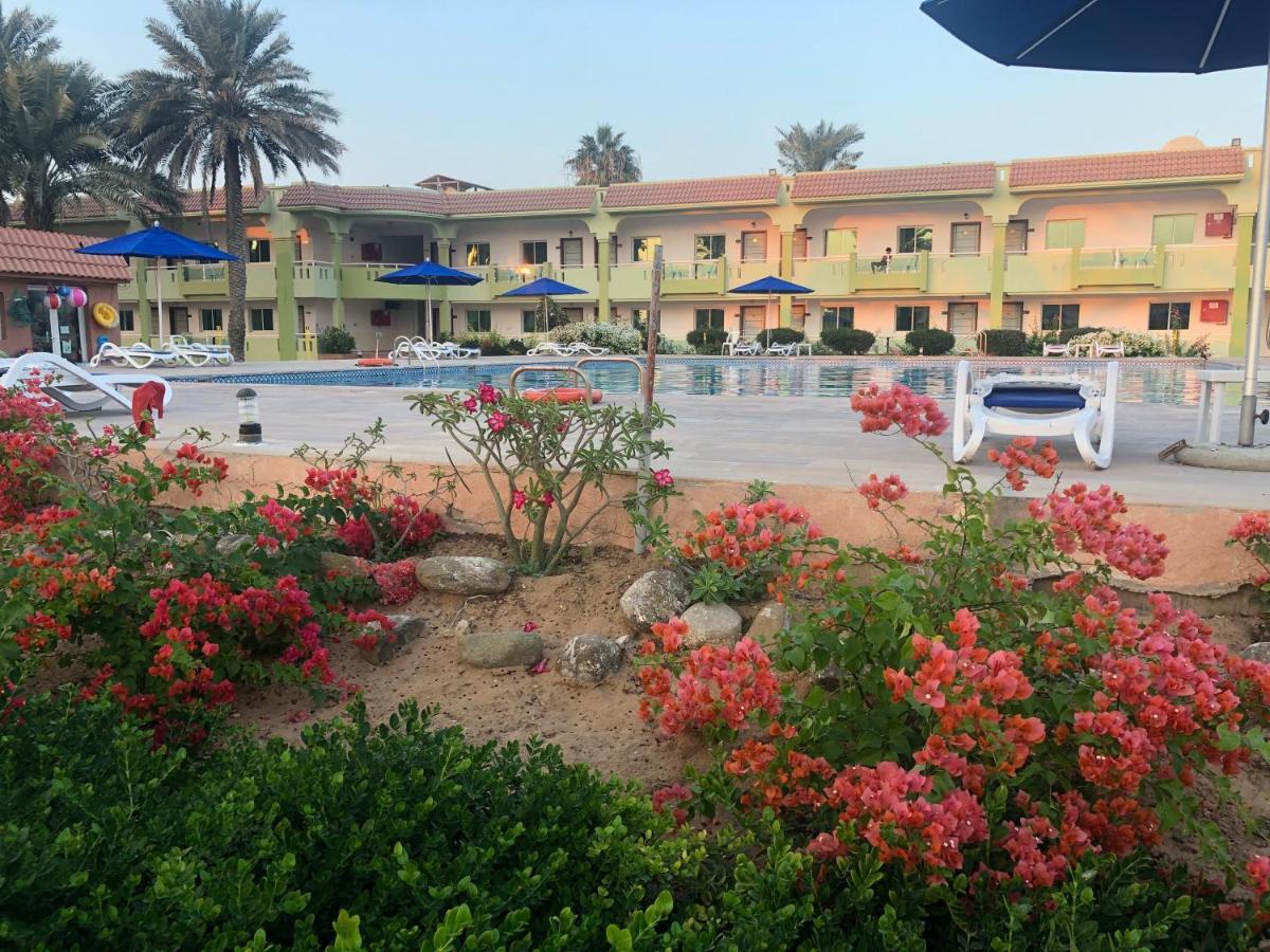 Flamingo Beach Hotel Umm al-Kuwajn Zewnętrze zdjęcie