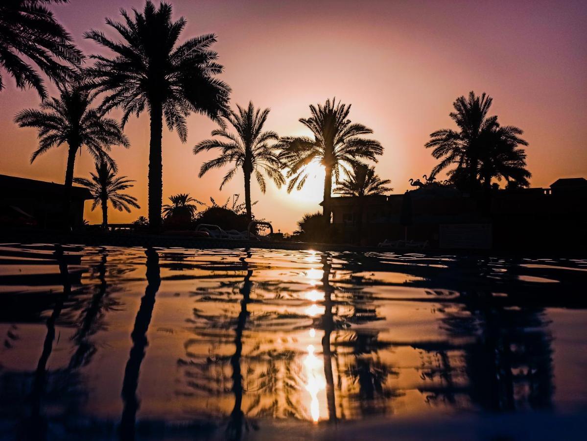 Flamingo Beach Hotel Umm al-Kuwajn Zewnętrze zdjęcie