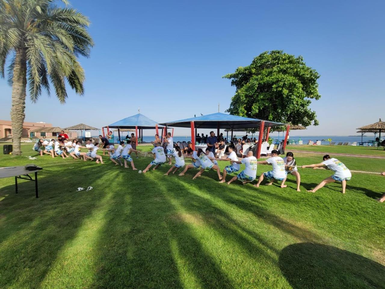 Flamingo Beach Hotel Umm al-Kuwajn Zewnętrze zdjęcie