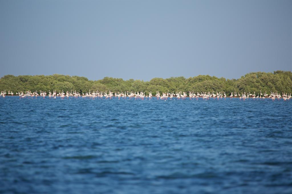 Flamingo Beach Hotel Umm al-Kuwajn Zewnętrze zdjęcie